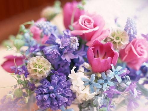 Chọn một bó hoa: những bó hoa đẹp và thời trang nhất - ảnh
