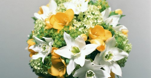 Pilih sejambak: bunga yang paling indah dan bergaya bunga - foto