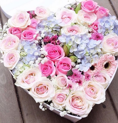 Tendència florística de moda: floreu les flors a la caixa