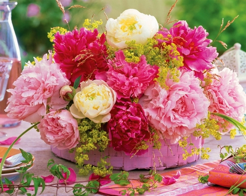 أجمل باقات من زهور الفاوانيا: التصميم ، اتجاهات الأزهار ، أفكار التصميم