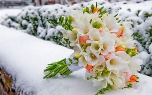 Nejkrásnější zimní kytice. Fotografie myšlenky kytic se zimní náladou